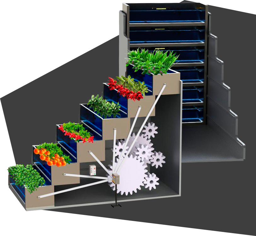 Staircase Farm is an innovative vertical farming solution designed to optimize agricultural space and improve the efficiency of plant cultivation. Its unique stair-like structure allows for a high concentration of plants to grow in a compact area, making it ideal for urban settings or environments with limited space