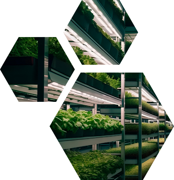 Staircase Farm is an innovative vertical farming solution designed to optimize agricultural space and improve the efficiency of plant cultivation. Its unique stair-like structure allows for a high concentration of plants to grow in a compact area, making it ideal for urban settings or environments with limited space